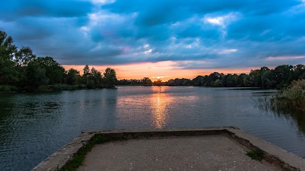 De Nevelhorst - Dog Swimming Lake