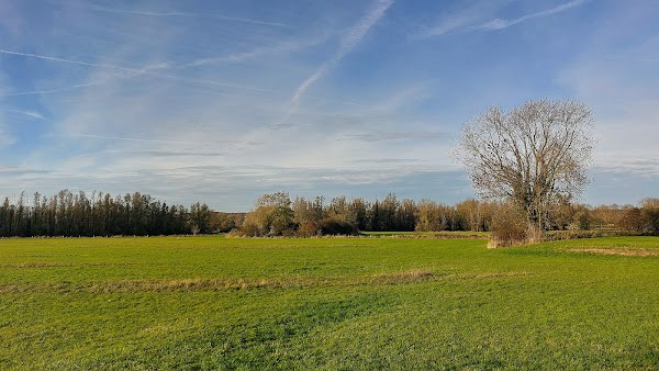 Koppenwaard Nature Area